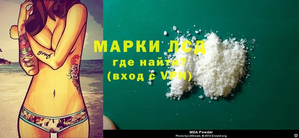 ГАЛЛЮЦИНОГЕННЫЕ ГРИБЫ Гусев