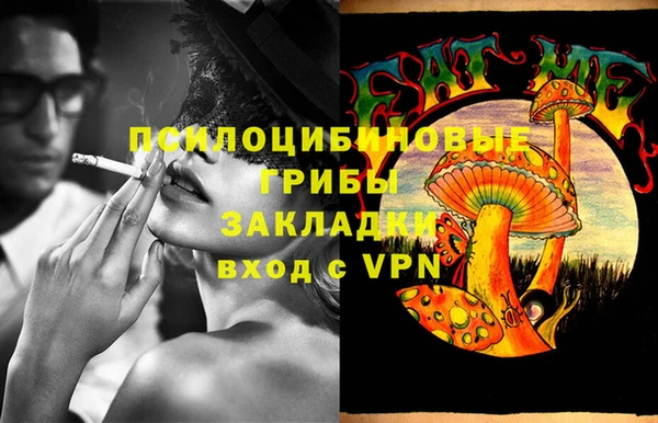 spice Гусиноозёрск