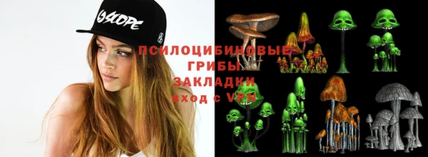 а пвп мука Гусь-Хрустальный