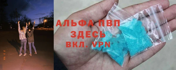 ГАЛЛЮЦИНОГЕННЫЕ ГРИБЫ Гусев