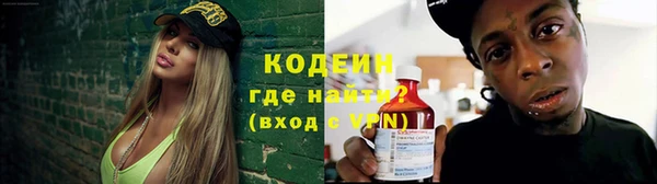 ГАЛЛЮЦИНОГЕННЫЕ ГРИБЫ Гусев