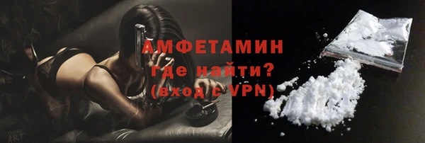 ГАЛЛЮЦИНОГЕННЫЕ ГРИБЫ Гусев