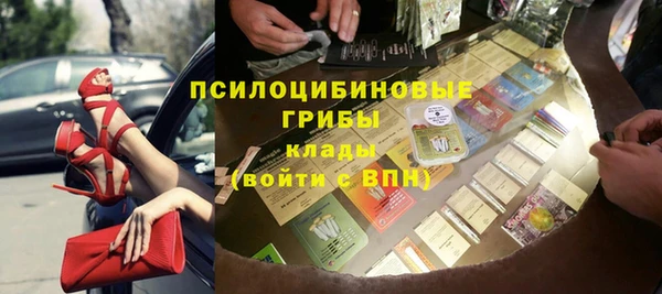 spice Гусиноозёрск