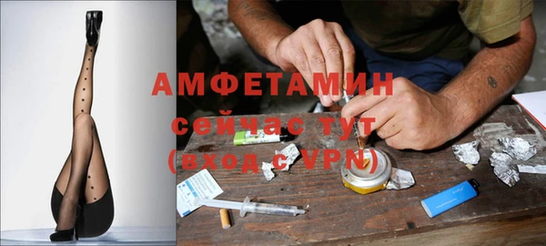 ГАЛЛЮЦИНОГЕННЫЕ ГРИБЫ Гусев