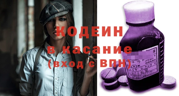 ГАЛЛЮЦИНОГЕННЫЕ ГРИБЫ Гусев