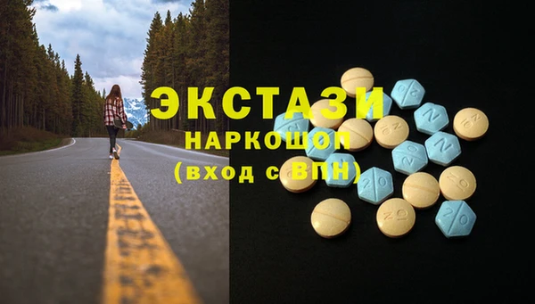 ГАЛЛЮЦИНОГЕННЫЕ ГРИБЫ Гусев